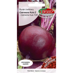 Burak Czerwona Kula 2 NASIONA OTOCZKOWANE